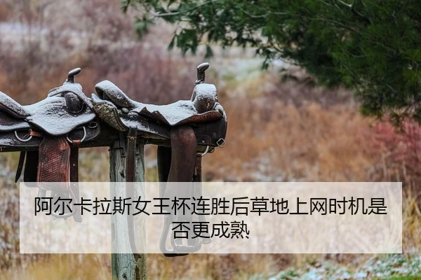 a-er-ka-la-si-nv-wang-bei-lian-sheng-hou-cao-di-shang-wang-shi-ji-shi-fou-geng-cheng-shu-2-826.jpg
