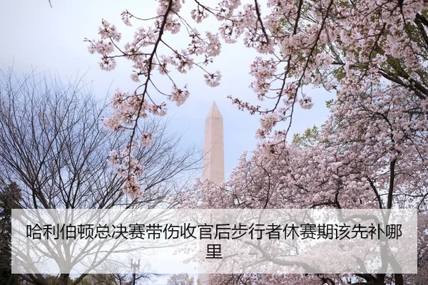 哈利伯顿总决赛带伤收官后步行者休赛期该先补哪里